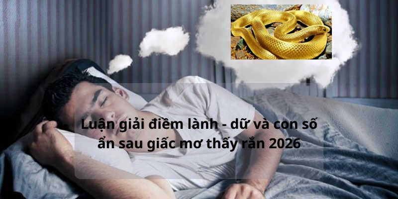 Luận giải điềm lành -  dữ và con số ẩn sau giấc mơ thấy rắn 2026