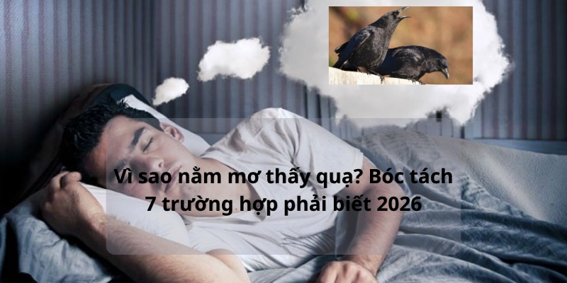 Vì sao nằm mơ thấy quạ? Bóc tách 7 trường hợp phải biết 2026